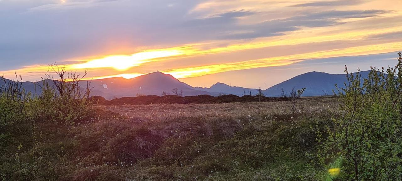 Solheim Guesthouse Dverberg エクステリア 写真