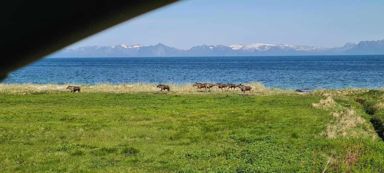 Solheim Guesthouse Dverberg エクステリア 写真
