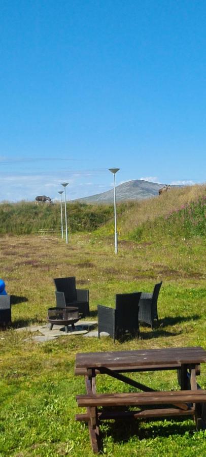 Solheim Guesthouse Dverberg エクステリア 写真